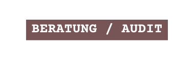 BERATUNG AUDIT